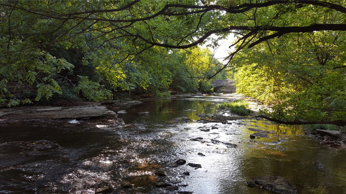 Cherokee Park Olmsted Parks Conservancy