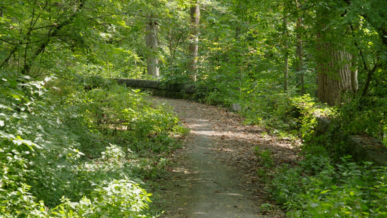 Cherokee Park Olmsted Parks Conservancy