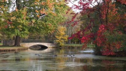 Chickasaw in the Fall