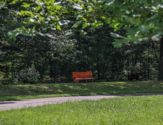 Louisville Park Bench